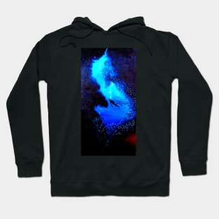 DIVER SWIMMING INTO A CAVE WITH GLASSFISH Hoodie